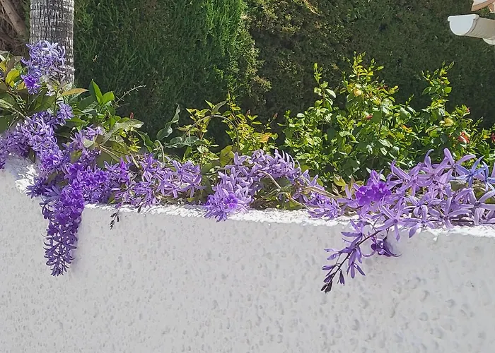 Вилла Romantic White -private Pool *