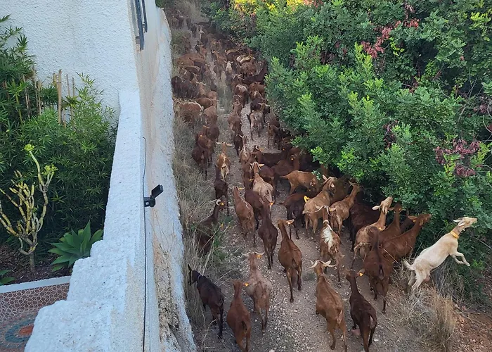 Romantic White -private Pool فيلة