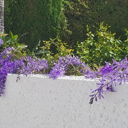 Villa Romantic White -private Pool *