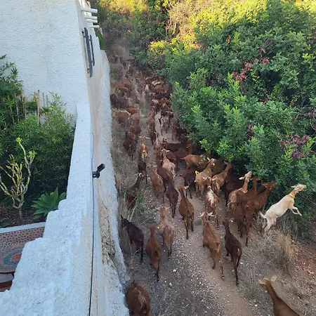 Romantic White -private Pool Villa