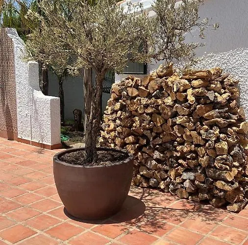 Romantic White -private Pool 别墅